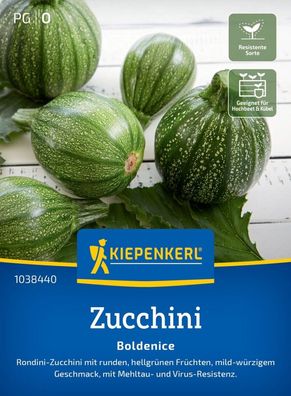 Zucchini Boldenice, F1, Rondini-Zucchini - Mehltau- u Virus-Resistenz