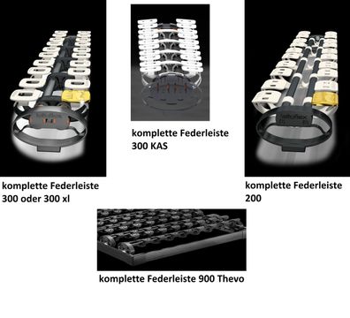 komplette Federbrücke 200 300 300 xl 300KAS 900 Thevo Lattoflex Ersatzteil