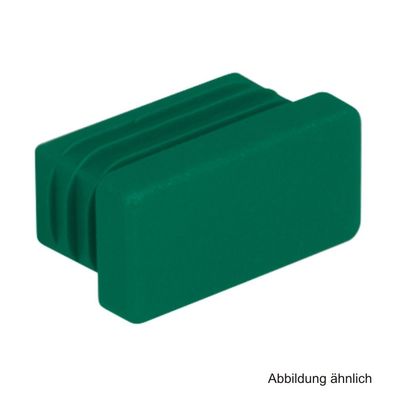 BIS Kunststoffendstopfen für Schiene WM1 (30x15 mm)