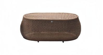 Couchtisch Braun Luxus Hochwertig Möbel Modern Terrasse Design Rattan Oval