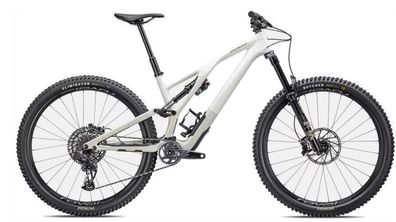 Specialized Stumpjumper Evo Expert Mountainbike Gloss Birch / Taupe