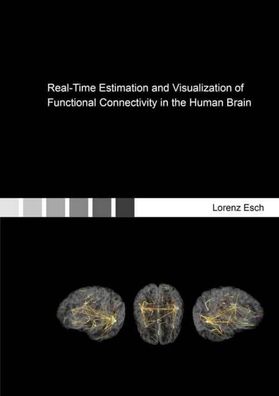 Real-Time Estimation and Visualization of Functional Connectivity in the Hu