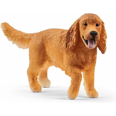 Zviratko - Hund Englischer Cocker Spaniel