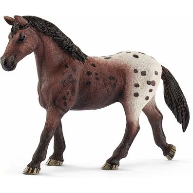 Tier - Appaloosa-Stute