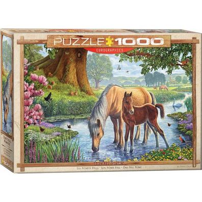 Eurographics Puzzle Fellponys 1000 Teile