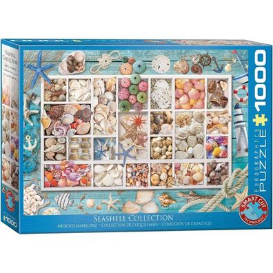 Eurographics Puzzle Laura's shell collection 1000 Teile