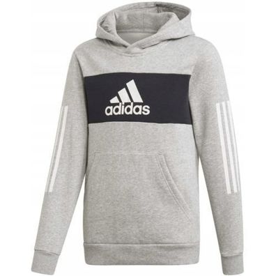 Adidas Kinder Sweatshirt Grau YB SID PO ED6500