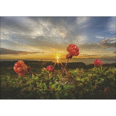 HEYE Maulbeere Sporen Puzzle 1000 Teile