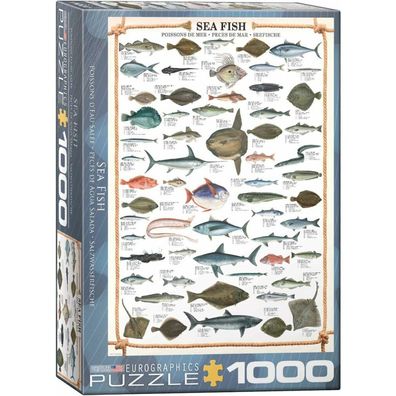 Eurographics Puzzle Seefisch 1000 Teile