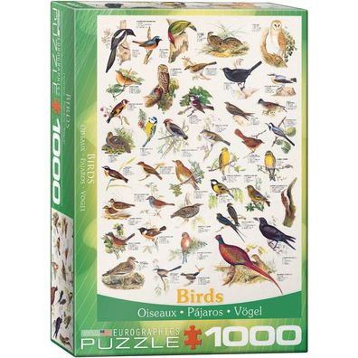 Eurographics Puzzle Vögel 1000 Teile