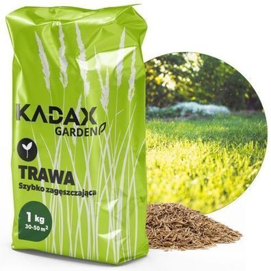 KADAX Rasensamen, Grassamen, schnellwachsendes Gras, 1 kg