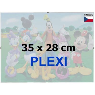 BFHM Rahmen Euroclip 35x28cm (Plexiglas)