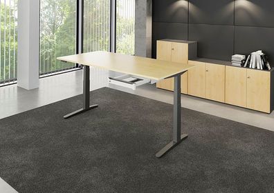 Hammerbacher Büroschrank Aktenschrank Modell 228T2 2OH