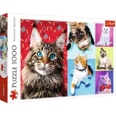 TREFL Puzzle Happy Cats 1000 Teile