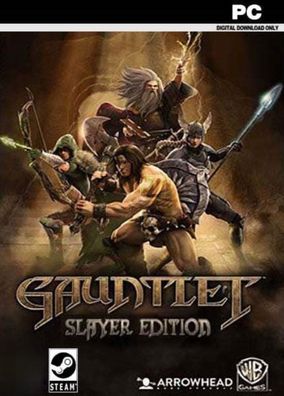 Gauntlet Slayer Edition (PC, 2014, Nur der Steam Key Download Code) Keine DVD