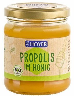 HOYER Propolis im Honig 250g