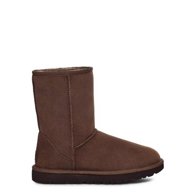 UGG - Stiefeletten - Classic-short-ii-1016223-bcdr - Damen