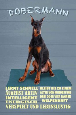 vianmo Holzschild 12x18cm Dobermann lernt schnell Hund Deko Geschenk