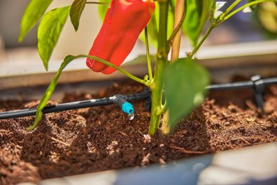 Micro Drip Bewässerung Terrassenset (30 Pflanzen) Gardena