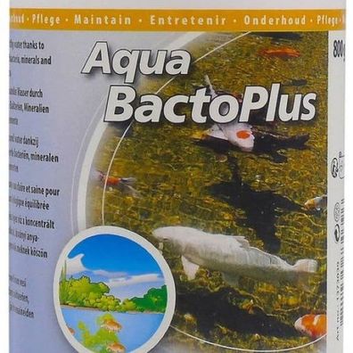 Wasseraufbereitung Aqua Bacto Plus 800 g Velda