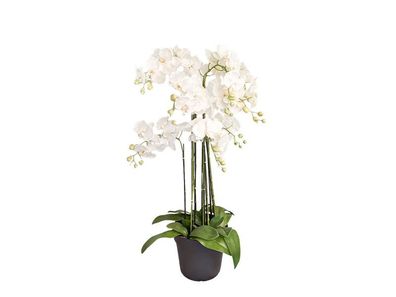 Orchidee Kunstpflanze 9 ästig 110 cm, weiß Buitengewoon de boet