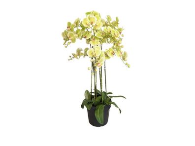 Orchidee Kunstpflanze 9 ästig 110 cm, grün Buitengewoon de boet