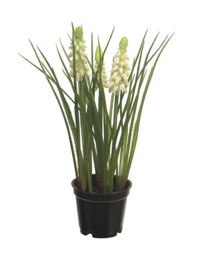 Muscari x3 mit schwarzem Topf creme 23 cm Kunstblume Nova nature