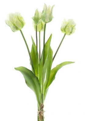 Strauß künstliche Tulpen Papagei Tulpe Duchesse x5 Creme 40 cm Buitengewoon de boet