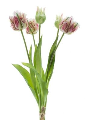 Strauß künstliche Tulpen Papagei Tulpe Duchesse x5 rosa 40 cm Buitengewoon de boet