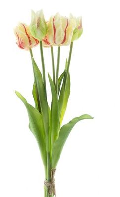 Strauß künstliche Tulpen Papagei Tulpe Duchesse x5 rot 40 cm Buitengewoon de boet