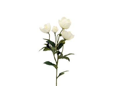 Künstliche Blume Nieswurz creme, 62 cm Buitengewoon de boet