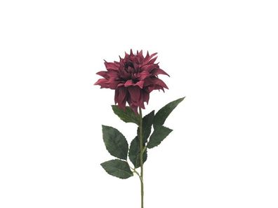 Künstliche Blume Dahlie boroodeaux, 58 cm Buitengewoon de boet