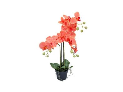 Orchidee Kunstpflanze 3 Zweig 68 cm, orange Buitengewoon de boet