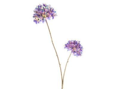 Künstliche Blume Allium holographische Schönheit, 78 cm Hortus