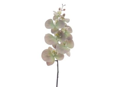 Künstliche Blume Phalaenopsis grün, 90 cm Hortus