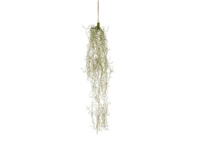 Künstliche Tillandsia Pflanze, 90 cm Hortus