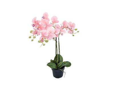 Orchidee Kunstpflanze 3 Zweig 68 cm, rosa Buitengewoon de boet