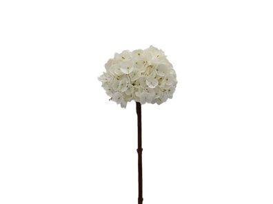 Künstliche Blume Hortensie 66 cm, creme Buitengewoon de boet