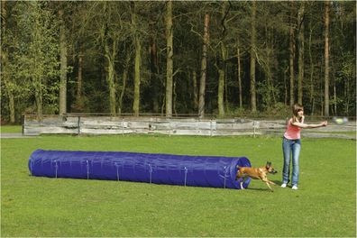 Agility Tunnel Groß 525X60X60 Cm Beeztees