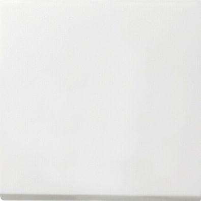 Gira Flaeche S3000 Tast Dimmer Aufsatz Reinweiß 5360112