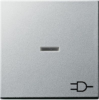 Gira System 55 Kontroll Wippe + Symbol Steckdose Farbe Alu 020926