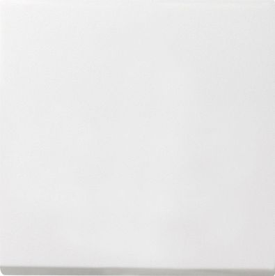 Gira Wippen Flächenschalter Reinweiß 0296112