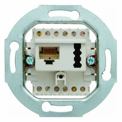 Berker UAE 8(6)/ TAE 6 F + N-Steckdose Modul-Einsätze polarweiß, matt 458809