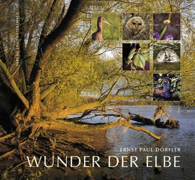 Wunder der Elbe, Ernst Paul Dörfler