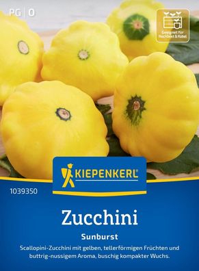 Zucchini Sunburst, F1, Scallopini-Zucchini - gelbe, tellerförmige Früchte