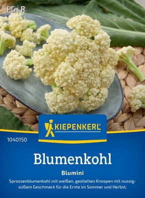 Blumenkohl Blumini, F1, Sprossenblumenkohl - für die Ernte im Sommer und Herbst