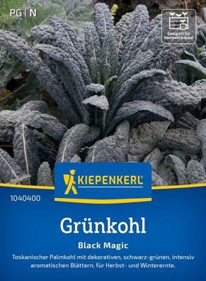 Grünkohl Black Magic, Toskanischer Palmkohl - für Herbst- und Winterernte