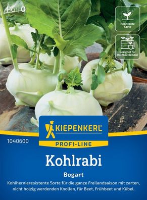 Kohlrabi Bogart, F1, Kohlhernieresistent - gesamte Freilandsaison - für Beet,