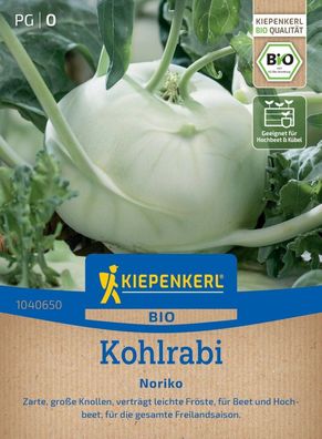 BIO Kohlrabi Noriko, zarte, große Knollen - Beet und Hochbeet - für die