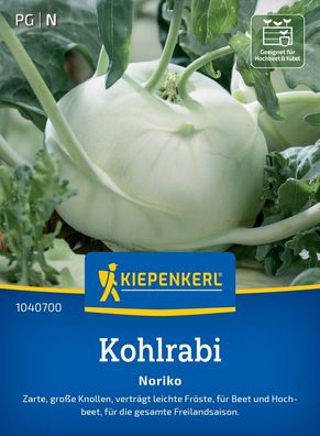 Kohlrabi Noriko, zarte, große Knollen - Beet und Hochbeet - für die gesamte